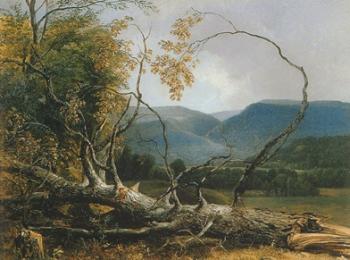 Asher Brown Durand : Study from Nature, Stratton Notch, Vermont